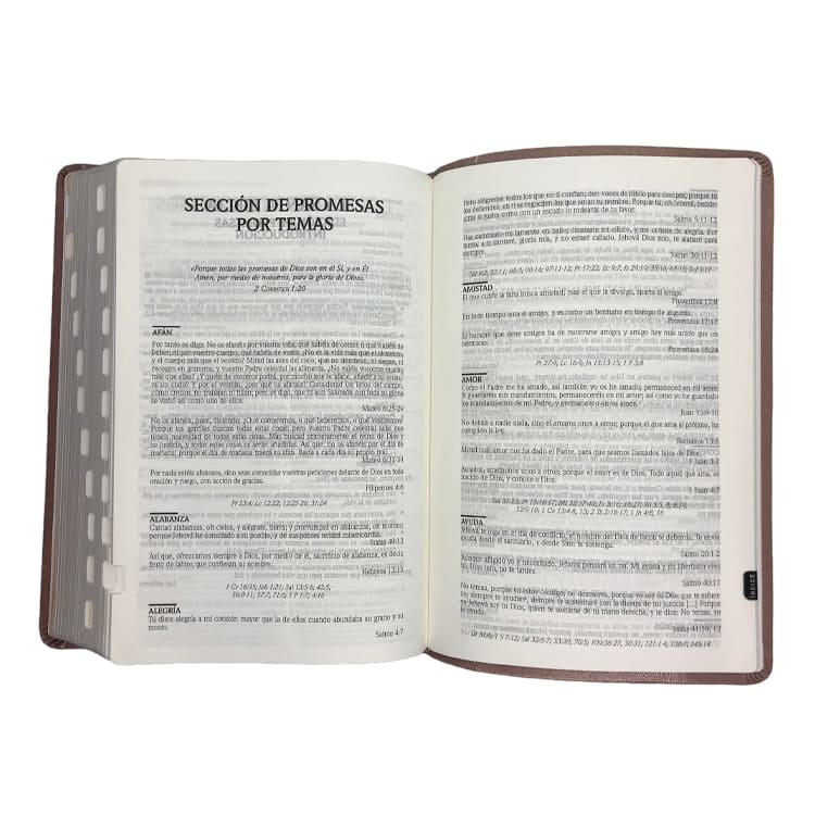 Biblia inspira de promesas