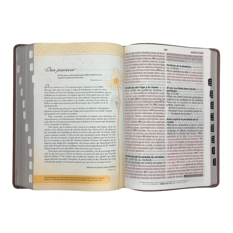 Biblia inspira RVR1960