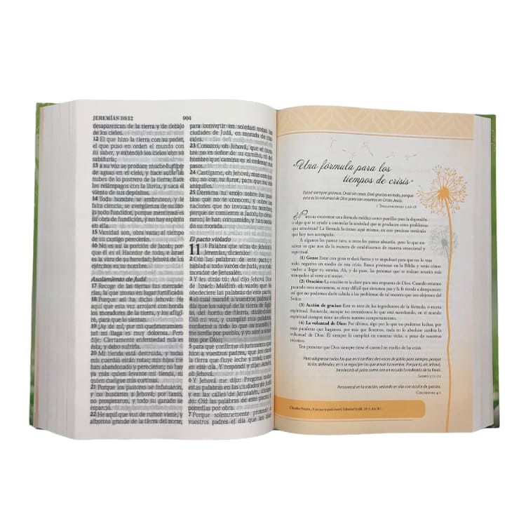 Biblia de promesas inspira - Image 3