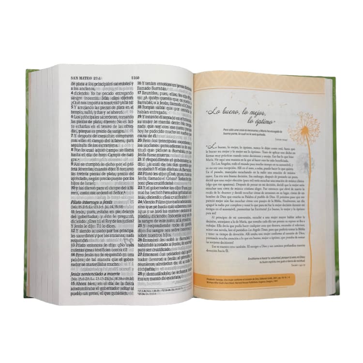 Biblia inspira RVR60
