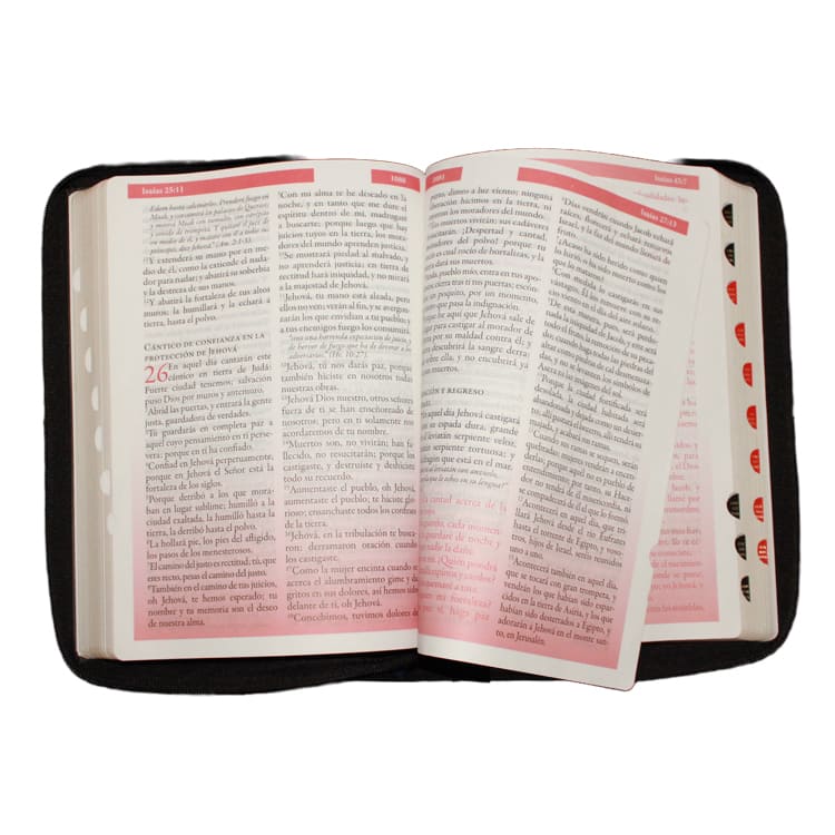 quito, donde puedo comprar una biblia reina valera 1960, ecuador