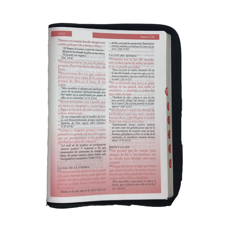 Biblia Referencias Inmediatas RVR60