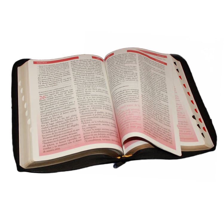 napo, donde puedo comprar una biblia reina valera 1960, loja