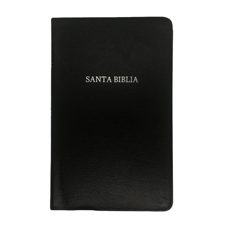 Biblia Ultrafina RVR1960