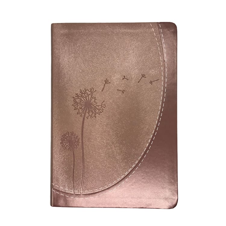 Biblia de promesas inspira